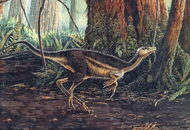 图为中华龙鸟复原图.(受访者供图)