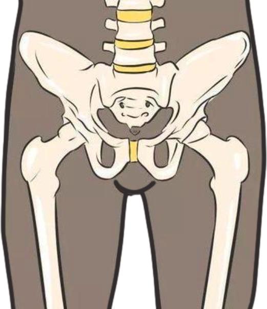 髋部骨折:老年髋部(胯骨轴)骨折后1年死亡率高达30为什么推荐牛奶