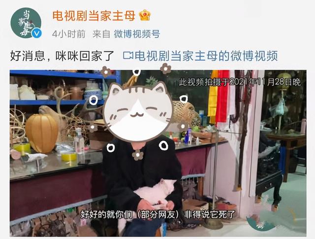 《当家主母》报警后小猫开社交账号亲证未死？网友质疑剧组找错猫休闲区蓝鸢梦想 - Www.slyday.coM