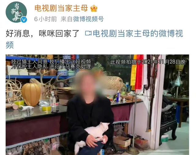 《当家主母》报警后小猫开社交账号亲证未死？网友质疑剧组找错猫休闲区蓝鸢梦想 - Www.slyday.coM