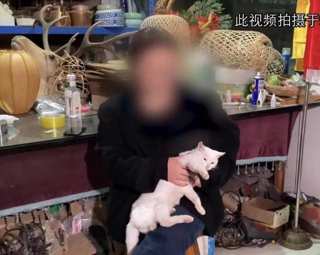 《当家主母》报警后小猫开社交账号亲证未死？网友质疑剧组找错猫休闲区蓝鸢梦想 - Www.slyday.coM