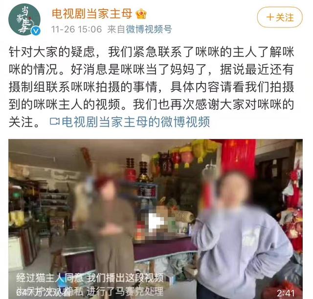 《当家主母》报警后小猫开社交账号亲证未死？网友质疑剧组找错猫休闲区蓝鸢梦想 - Www.slyday.coM