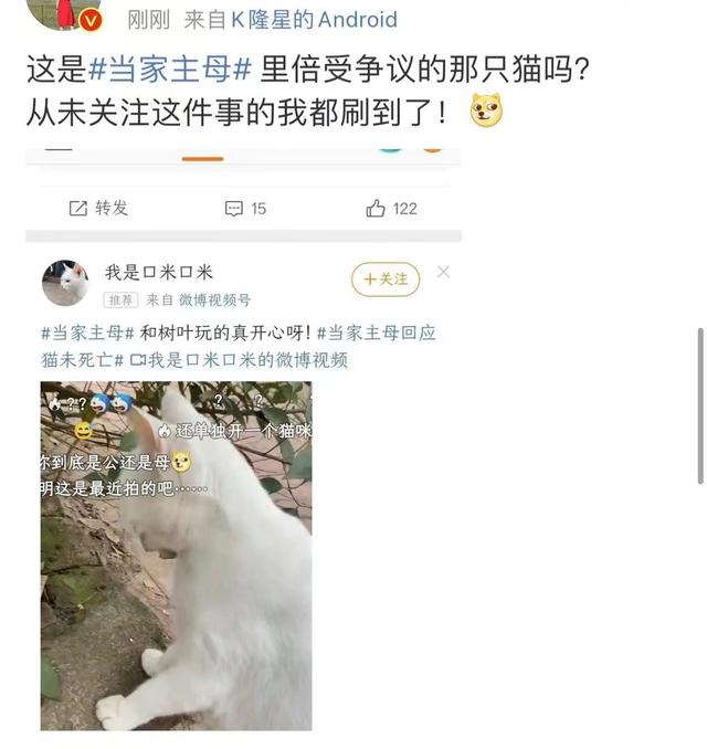 《当家主母》报警后小猫开社交账号亲证未死？网友质疑剧组找错猫休闲区蓝鸢梦想 - Www.slyday.coM