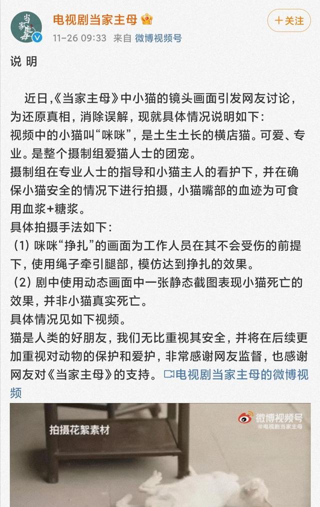 《当家主母》报警后小猫开社交账号亲证未死？网友质疑剧组找错猫休闲区蓝鸢梦想 - Www.slyday.coM