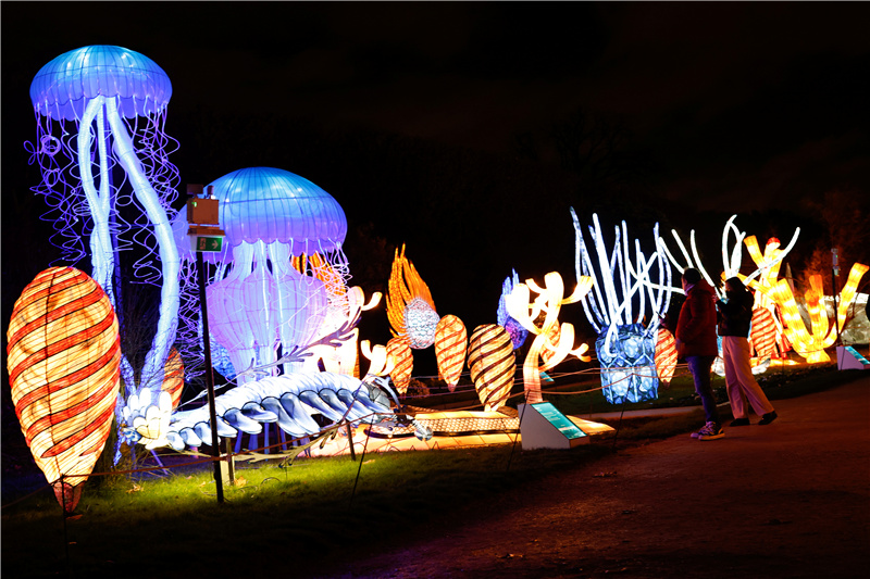 巴黎植物园举办大型灯光展 动物彩灯栩栩如生