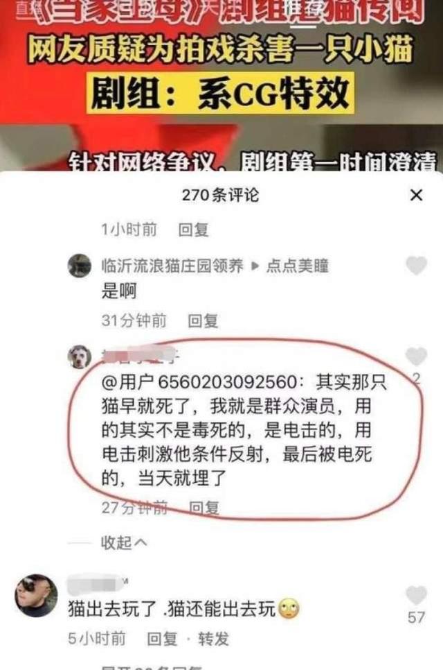 《当家主母》报警后小猫开社交账号亲证未死？网友质疑剧组找错猫休闲区蓝鸢梦想 - Www.slyday.coM