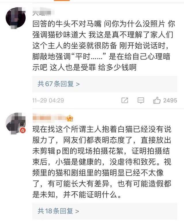 《当家主母》报警后小猫开社交账号亲证未死？网友质疑剧组找错猫休闲区蓝鸢梦想 - Www.slyday.coM
