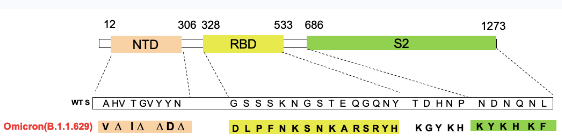 科普休闲区蓝鸢梦想 - Www.slyday.coM