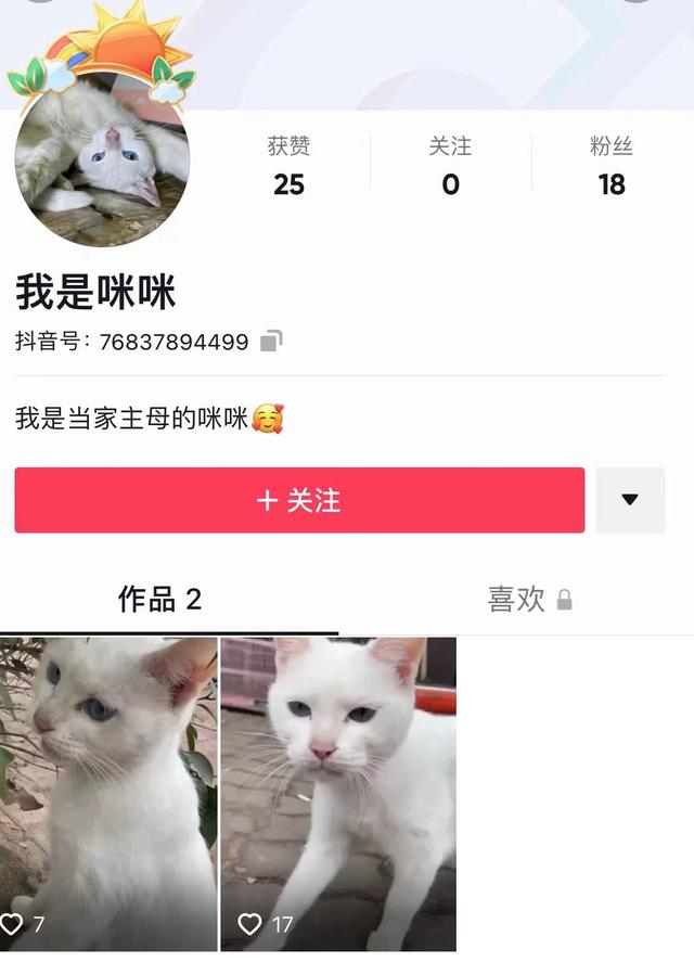 《当家主母》报警后小猫开社交账号亲证未死？网友质疑剧组找错猫休闲区蓝鸢梦想 - Www.slyday.coM