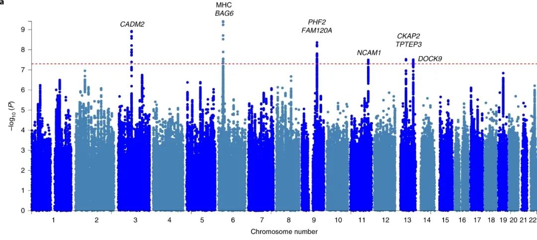 一紧张就想上厕所？你的“社死”时刻可能和这种疾病有关休闲区蓝鸢梦想 - Www.slyday.coM