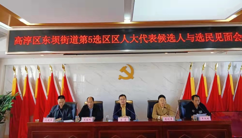 南京东坝街道召开区人大代表候选人与选民见面会
