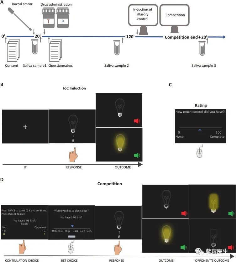 为什么社会上癞蛤蟆往往总能吃到天鹅肉？休闲区蓝鸢梦想 - Www.slyday.coM