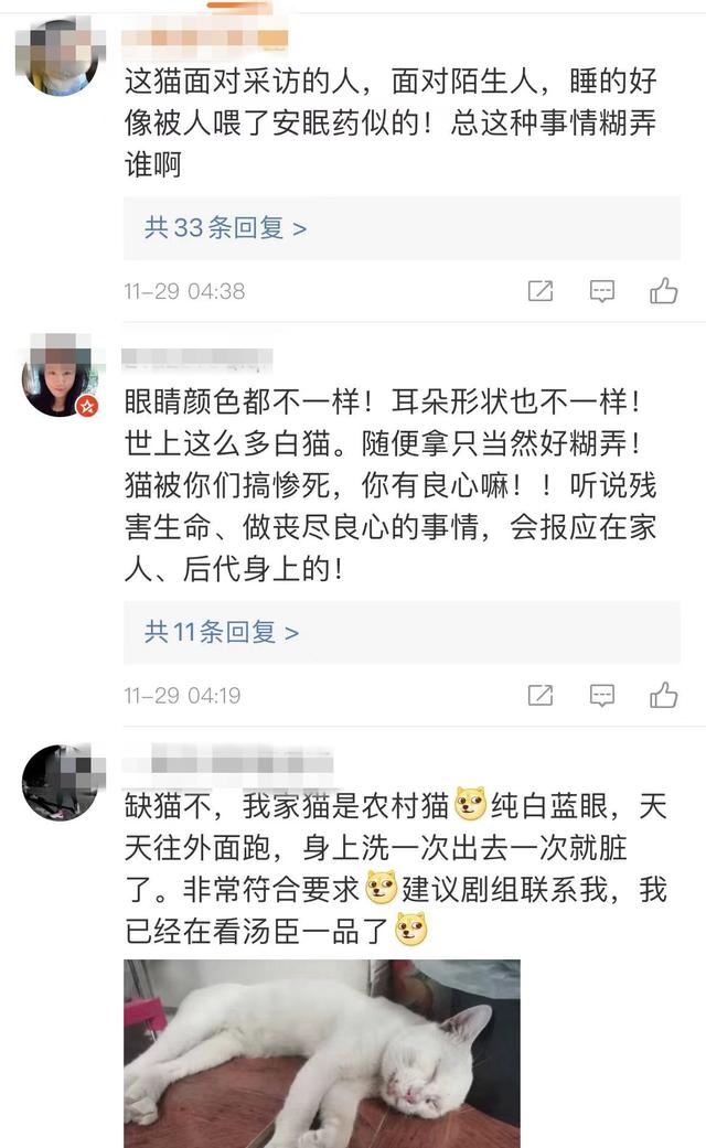 《当家主母》报警后小猫开社交账号亲证未死？网友质疑剧组找错猫休闲区蓝鸢梦想 - Www.slyday.coM