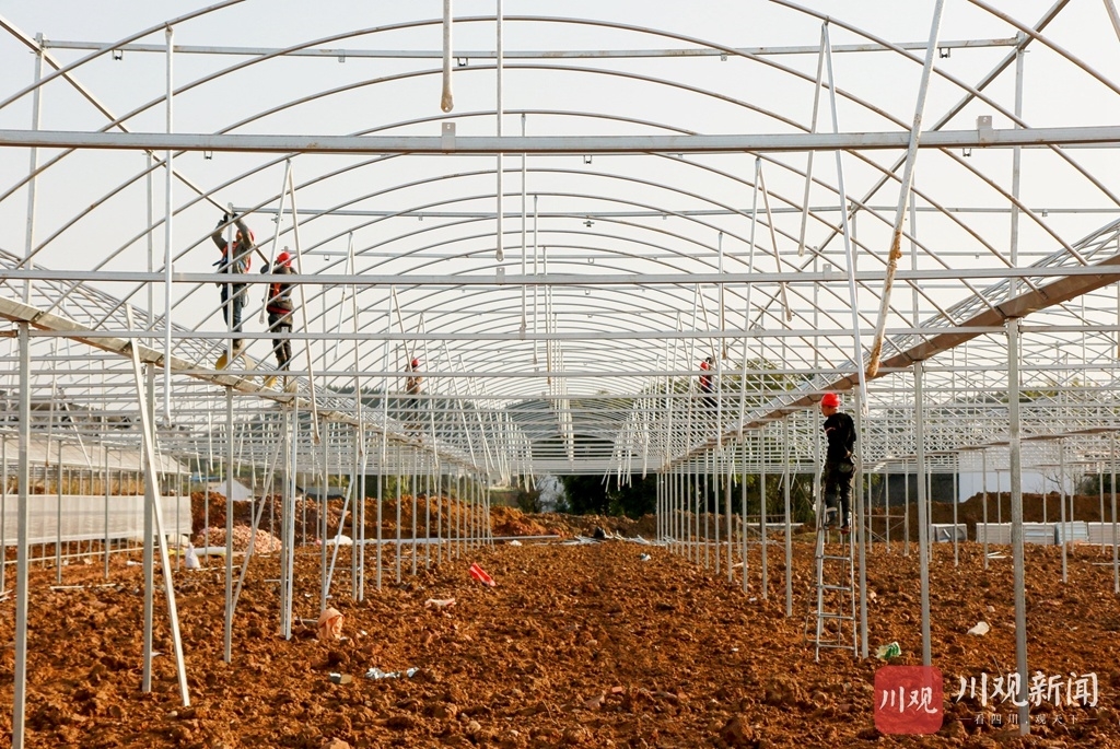 组图|南充顺庆:致富大棚建设忙|南充|四川|南充市_新浪新闻