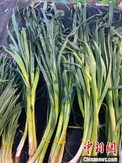 贵阳"蓝色香葱"是使用了波尔多液 危害风险极低