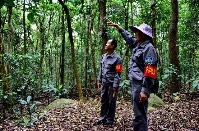 两部门：各省区市设立“总林长” 2022年6月全面建立林长制