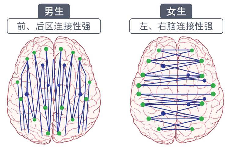 男女之间的思维差异怎么就那么大