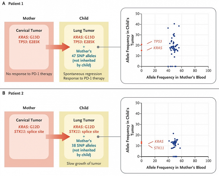 两例患儿及其母亲的肿瘤基因谱相似（图片来源：参考资料[1]）