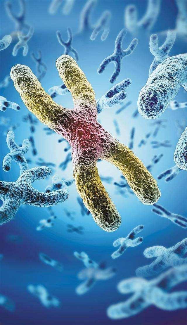 地球上生命是如何诞生的你知道吗