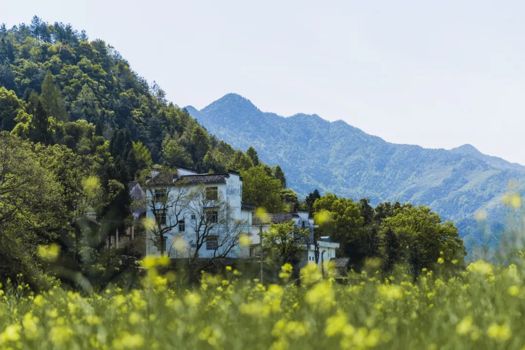 四月旅行推荐|这个10个目的地藏着令人惊艳的春天~休闲区蓝鸢梦想 - Www.slyday.coM 四月旅行推荐|这个10个目的地藏着令人惊艳的春天~休闲区蓝鸢梦想 - Www.slyday.coM