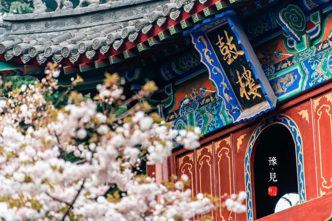 四月旅行推荐｜这个10个目的地藏着令人惊艳的春天～休闲区蓝鸢梦想 - Www.slyday.coM