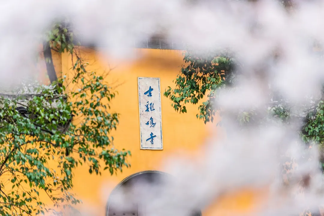 四月旅行推荐|这个10个目的地藏着令人惊艳的春天~休闲区蓝鸢梦想 - Www.slyday.coM 四月旅行推荐|这个10个目的地藏着令人惊艳的春天~休闲区蓝鸢梦想 - Www.slyday.coM