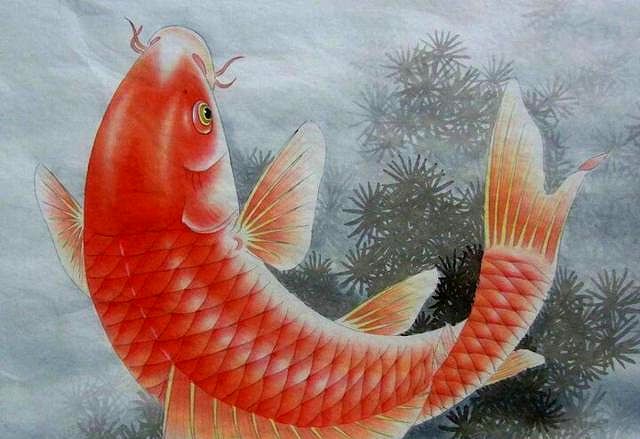 心理测试:你最喜欢哪条鱼,测出你的孩子能鱼跃龙门出人头地吗