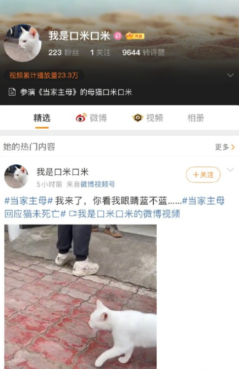 当家主母群演发声,称小猫被打不明液体,剧组给小猫开微博证清白休闲区蓝鸢梦想 - Www.slyday.coM 当家主母群演发声,称小猫被打不明液体,剧组给小猫开微博证清白休闲区蓝鸢梦想 - Www.slyday.coM