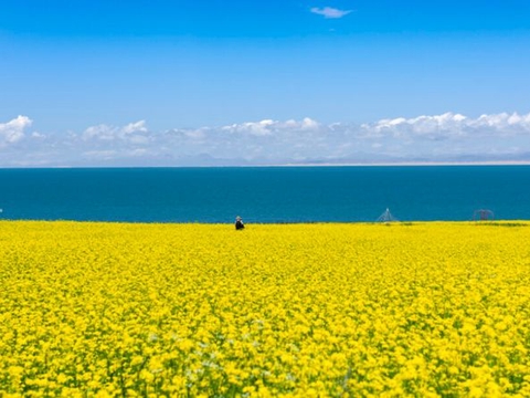 在人生的旅途中,我们总会遇到很多的人|旅途|总会|生命_新浪新闻