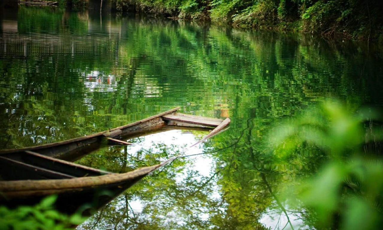 安徽有一處小眾旅遊景點,有一級空氣一級水之稱,原先是人工湖泊