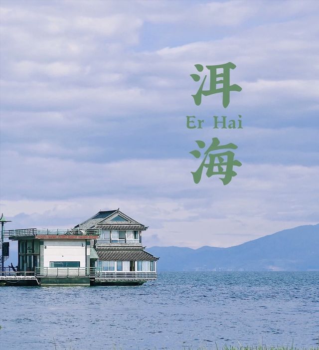 洱海面积246平方公里90的游客都会选择环游洱海