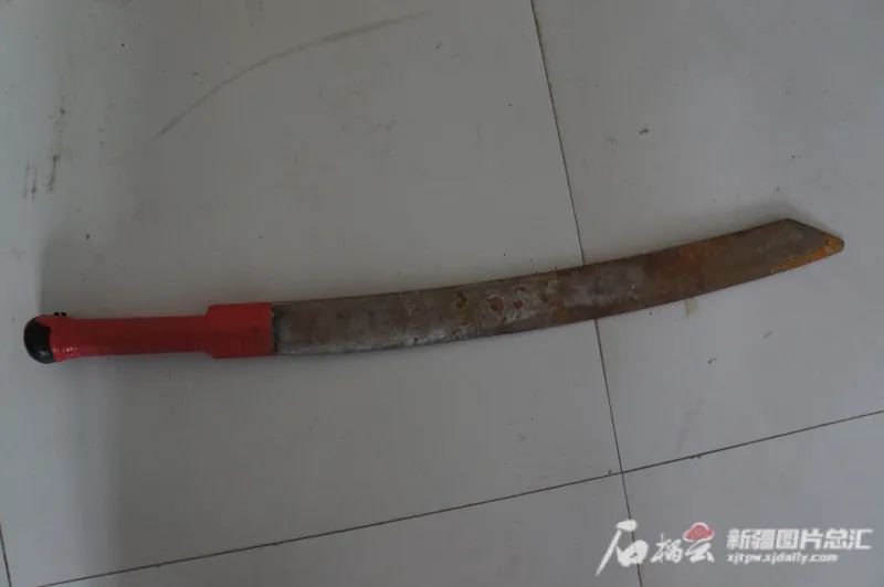 还原2013年新疆巴楚“4 • 23”严重暴力恐怖案件“生死时速”休闲区蓝鸢梦想 - Www.slyday.coM