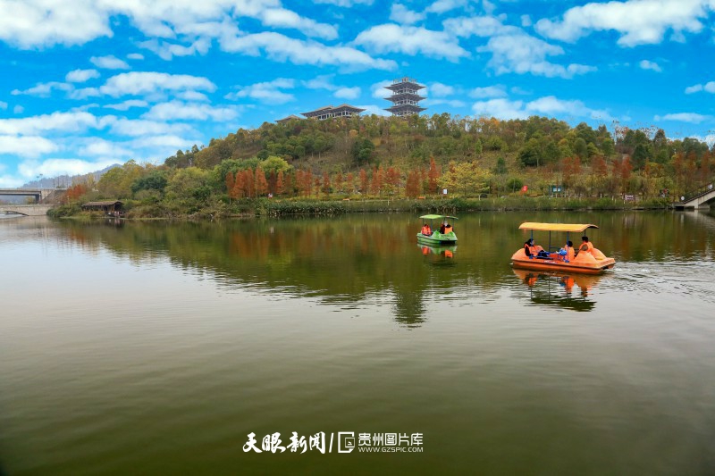 遵义播州湿地公园:初冬红似火|遵义市_新浪新闻