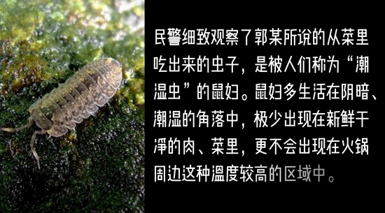 为吃霸王餐带虫放入食物，男子涉嫌敲诈勒索被刑拘休闲区蓝鸢梦想 - Www.slyday.coM