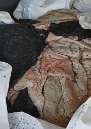 北仑海关对一个以空箱名义进境的超重集装箱开箱检查:布满蛆虫生牛皮