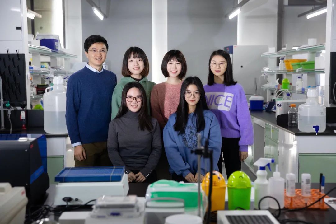Nature:为什么会一夜白头?研究人员张兵博士已入职西湖大学