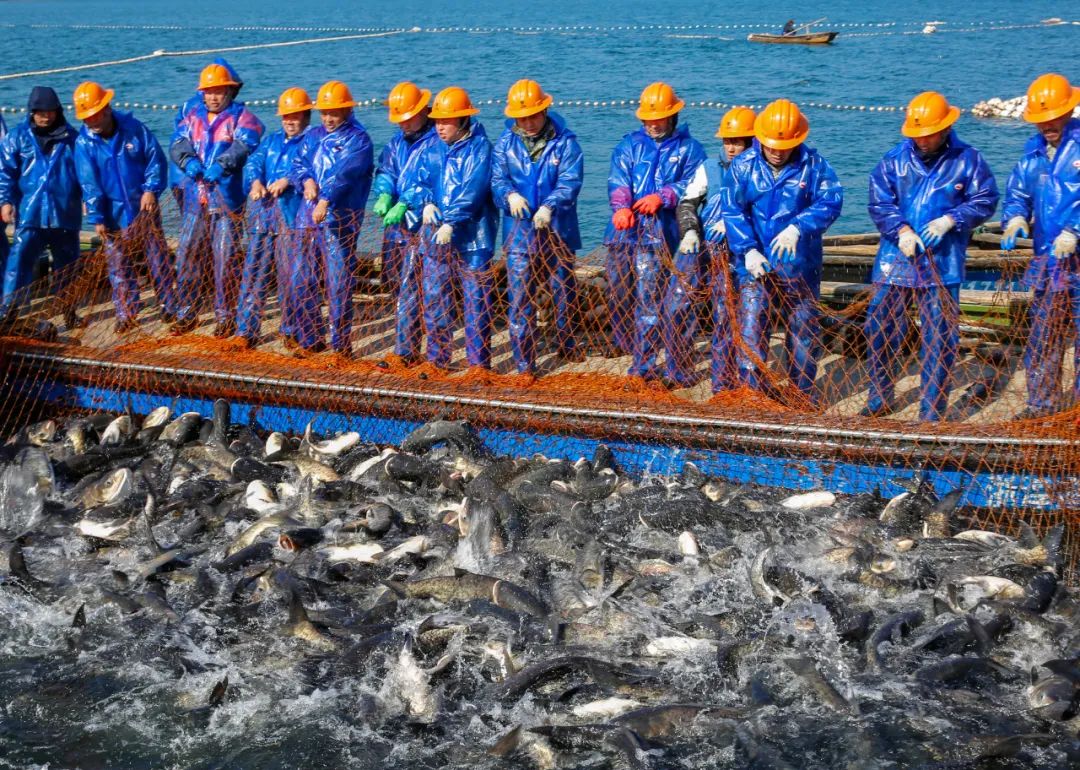 30000公斤!新年第一网