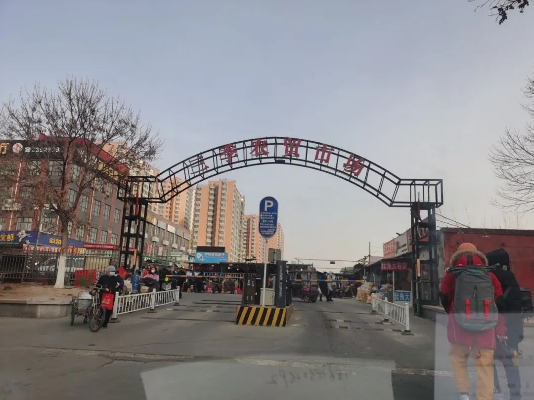 灵兽排行_灵兽也选秀屠魔最受欢迎珍兽排行榜