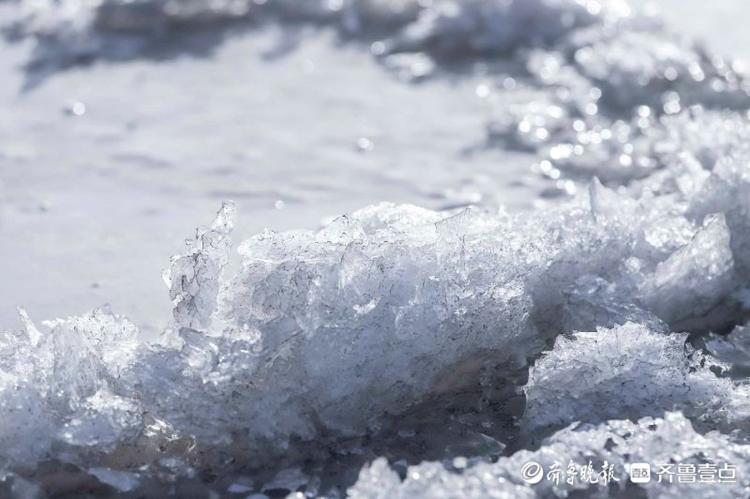 情报站|济南黄河结冰啦!阳光下冰冻晶莹剔透,这才是冬天的味道