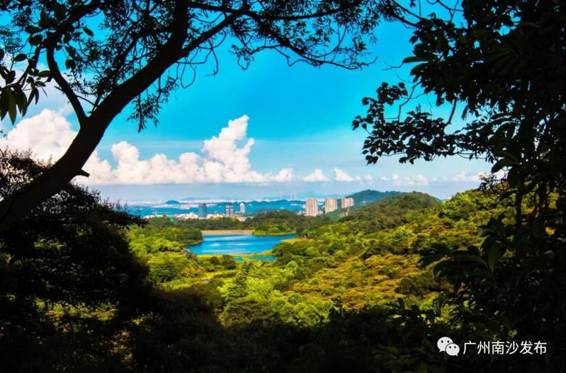 2km,南沙水清岸绿四步走!