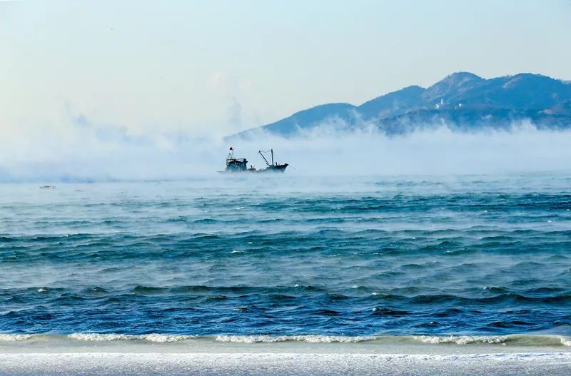 "海浩"是海雾吗?|青岛|中科院_新浪新闻