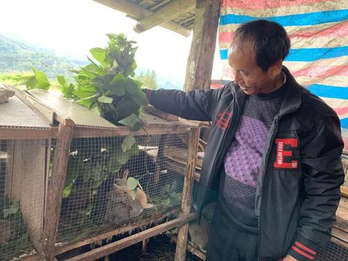 养兔从以下方面下功夫,可提高经济收入|细绒|养殖户|兔笼_新浪新闻