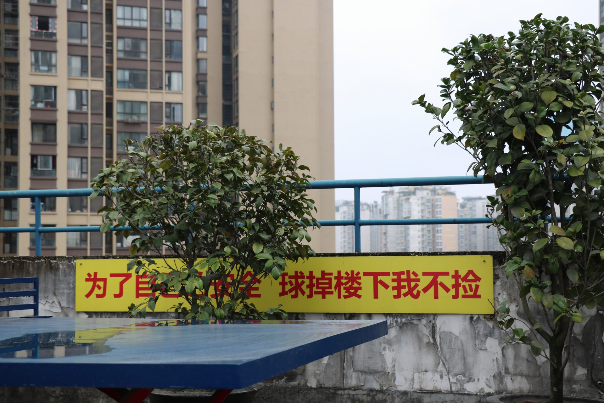 天台上张贴有安全标语.澎湃新闻记者蒲垚磊 图