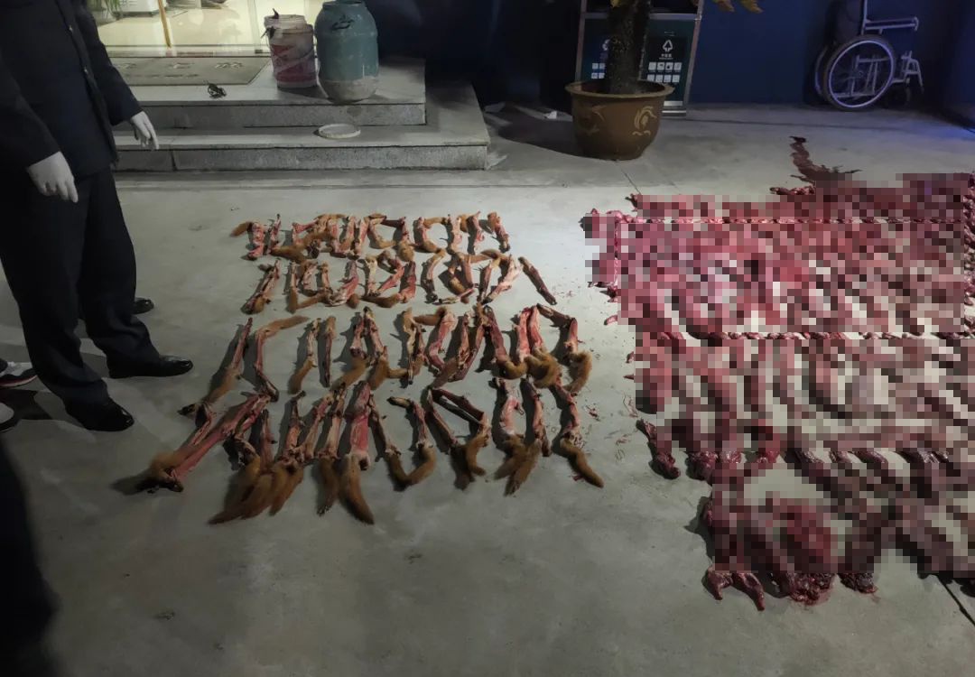 三人猎杀653只黄鼠狼贩卖皮毛，涉嫌非法狩猎罪被批捕