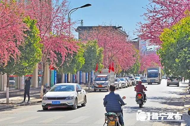 这里曾是昌宁"划河而治"时的一个镇的中心,现在已成为山水田园城市的