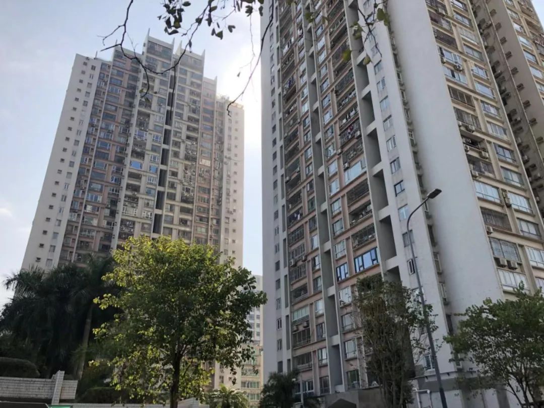 （国城花园 浩林摄）