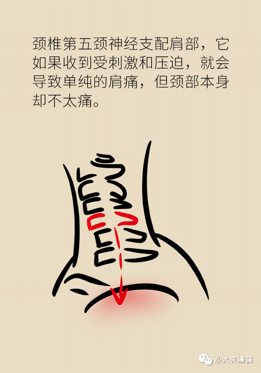 肩颈疼了大半年,难道是得了肩周炎?专家告诉你该怎么办!