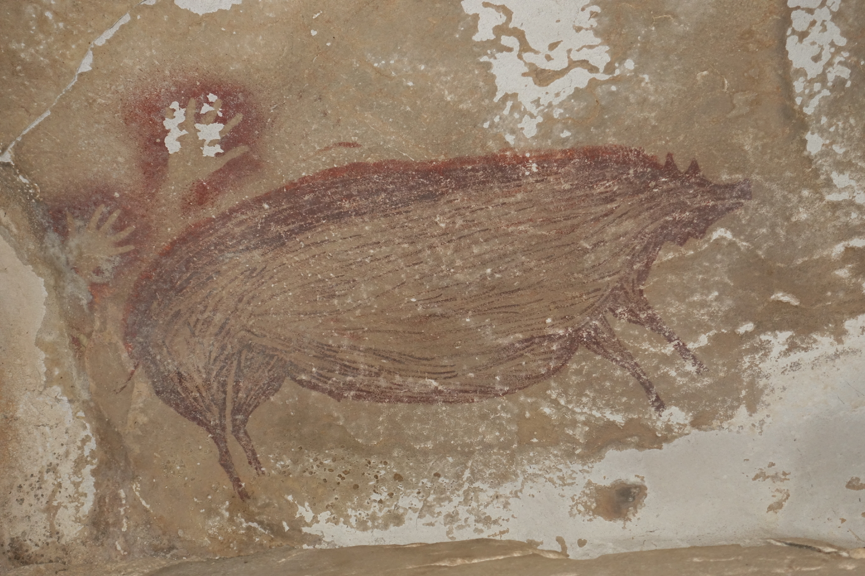 印尼发现世界上已知最古老的动物岩画：至少4万多年前的野猪
