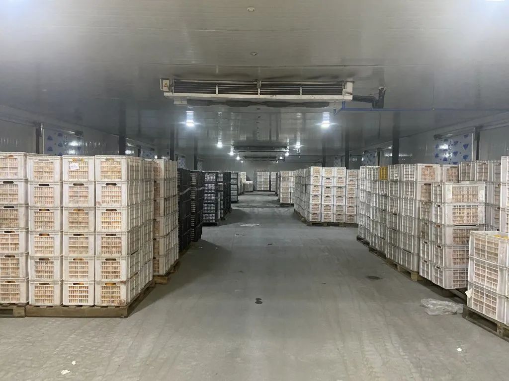 秘诀在这里!|农产品_新浪新闻