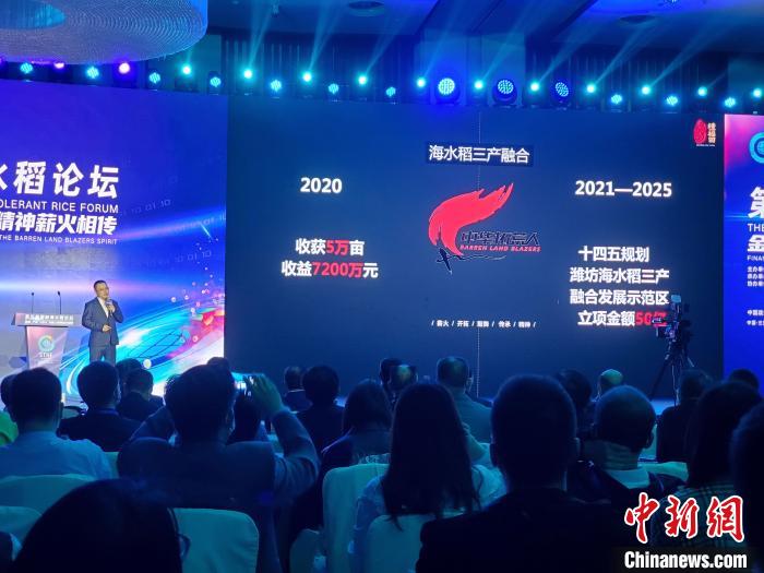 论坛现场。记者王晓斌 摄